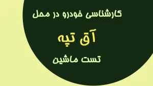 کارشناسی-خودرو-در-آق-تپه